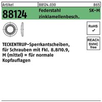 Teckentrup - Sperrkantscheibe r 88124 m 4x10,2 x1 Federstahl zinklamellenbeschichtet von TECKENTRUP