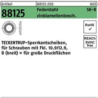 Teckentrup - Sperrkantscheibe r 88125 b 12x32,3 x2,8 Federstahl zinklamellenbeschichtet von TECKENTRUP