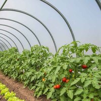 Gewächshausplane 3x7 m - TECPLAST 150SE - Transparente Kunststoffplane für Gartengewächshäuser - Hohe Qualität - Made in France von TECPLAST
