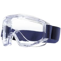 Acetat Vollsichtbrille Tector en 166, ohne Ventilation von TECTOR