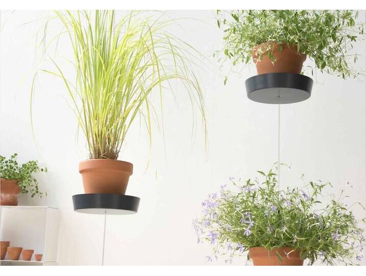 Hängetopf - teebooks von TEEBOOKS