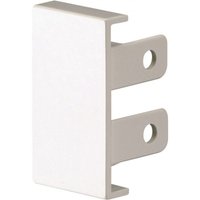 Set mit 2 weißen Endkappen für Zierleisten, H. 2,8 x T. 2 cm TEHALIT Set mit 2 weißen Endkappen für Zierleisten, H. 2,8 x T. 2 cm TEHALIT von TEHALIT