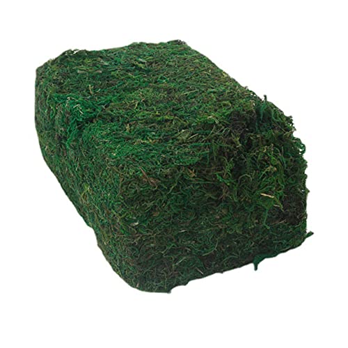 TEHAUX 1pc Künstliche Moos Simulation Anlage Für Indoor Gartenarbeit Realistische Grüne Moos Für Topfpflanze Dekoration von TEHAUX