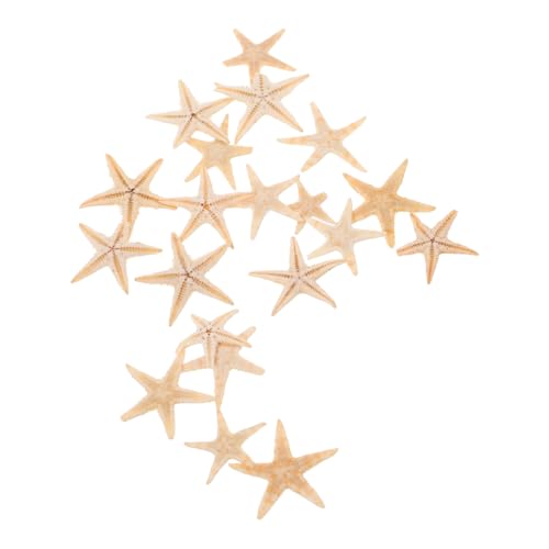 TEHAUX 20stücke Mini- Ornamente Für Kerzenherstellung Strand- Dekoration Natürliche Aromatherapie Zubehör Für Hochzeiten Und Bastelprojekte TEHAUX 20stücke Mini- Ornamente Für Kerzenherstellung Strand- Dekoration Natürliche Aromatherapie Zubehör Für Hochzeiten Und Bastelprojekte von TEHAUX