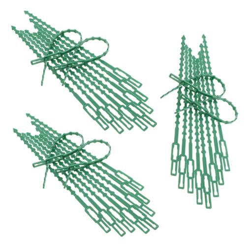 TEHAUX 30 Stück Grüne Nylon Kabelbinder Lang mit Selbstsichernder Verzahnung Wetterfest und Robust zum Bündeln von Kabeln und Drähten im Innenbereich TEHAUX 30 Stück Grüne Nylon Kabelbinder Lang mit Selbstsichernder Verzahnung Wetterfest und Robust zum Bündeln von Kabeln und Drähten im Innenbereich von TEHAUX
