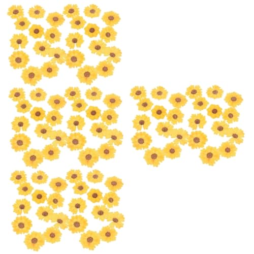 TEHAUX 96stücke Getrocknete Blumen Gepresste Daisy Blumen Für Handyhüllen Scrapbooking Und Kunsthandwerk Für Kreative Bastelprojekte Und Dekorationen von TEHAUX