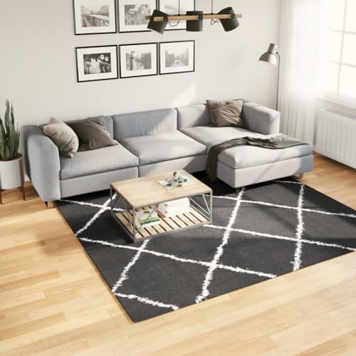 TEKEET Furniture Home Tools Shaggy Teppich Hochflor Modern Schwarz und Creme 240x240 cm von TEKEET