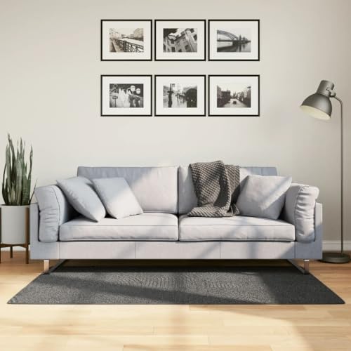 TEKEET Furniture Home Tools Teppich IZA Kurzflor Skandinavischer Look Anthrazit 80x150 cm von TEKEET