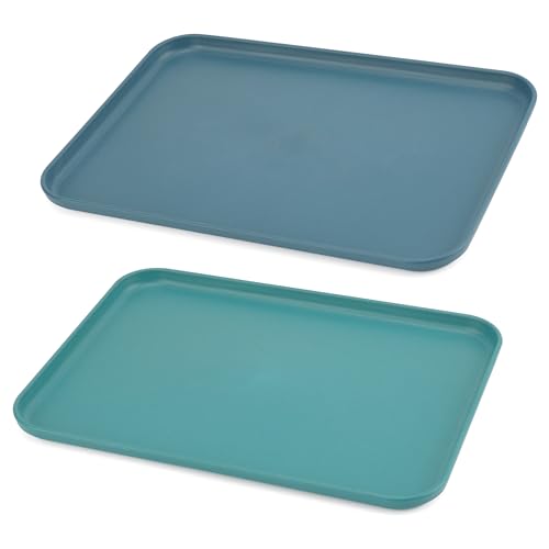 2 Stück Tablett Serviertablett 31x22cm Kunststoff Tablett Rechteckig Serviertablett Küchentablett Servierteller für Zuhause Restaurant Bar Coffee Shop von TEKONDA
