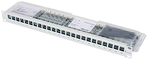 TELEGÄRTNER J02023A0040 24 AMJ-S Modulen T568B lichtgrau von TELEGARTNER