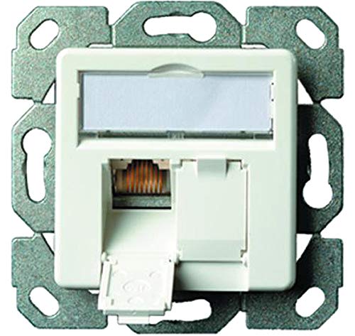 Telegärtner Datenanschlussdose Cat6A 2-Fach 2xRJ45 J00020A0500 AMJ45 8/8 UP/50 alpinweiß 5 V, Weiß (3 Dosen) von TELEGARTNER