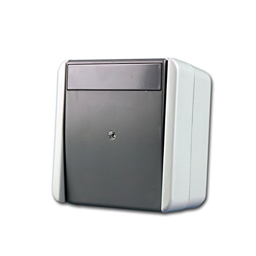 fontana Kontroll-Schalter grau 250V~/10A, AP, IP44 von TEM