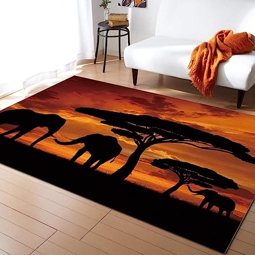 Afrikanischer Tierelefant Teppiche Gegend, Tropische Afrikanische Tierwelt Bei Sonnenuntergang Dekorativer Teppich für Wohnzimmer, Schlafzimmer, Esszimmer Badezimmer Küche Flur Läufer 60 x 120cm von TEMLAN