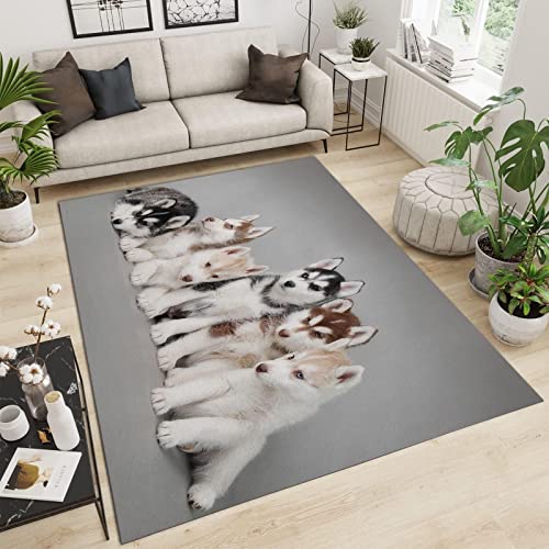 TEMLAN Hund Schöner Husky Teppiche Gegend, Tierischer Weißer Haustierhund Dekorativer Teppich für Wohnzimmer, Schlafzimmer, Esszimmer Badezimmer Küche Flur Läufer 60 x 120cm von TEMLAN