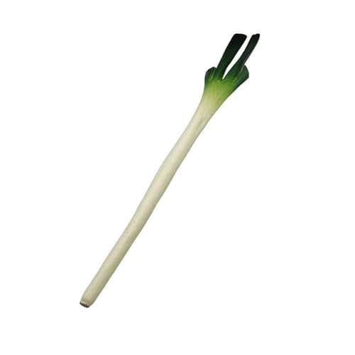 TEMOOUES Künstliche grüne Zwiebeln aus PU, realistische Simulation, Blumenzwiebeln, Gemüse, für Küchen-Display und Heimdekoration, dekorative Schalotten, 4 Stück von TEMOOUES