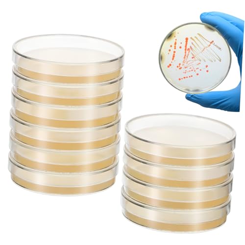 TEMPNAP 20 Stck Vorgefüllte Agarplatten mit Nährboden Sterile Petrischalen für Labor Wissenschaftsexperimente Mikrobielle Kultivierung Einfache Handhabung Vielseitig Einsetzbar in und von TEMPNAP