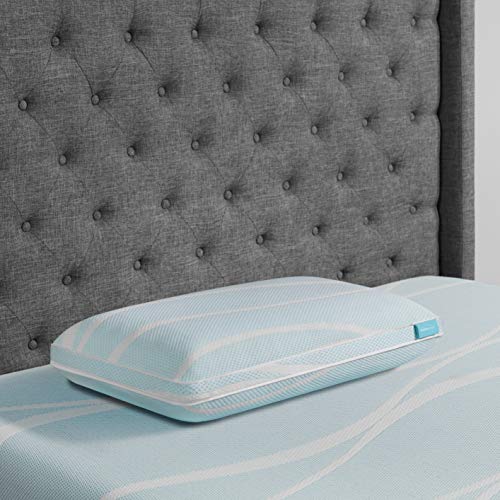 TEMPUR-PEDIC Kissen, Memory-Schaum, weiß, Queen (1 Stück) von TEMPUR