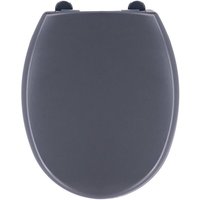 Tendance - Wc-sitz thermodur 18 zoll + fallbremse kunststoffbefestigungen - grau Tendance - Wc-sitz thermodur 18 zoll + fallbremse kunststoffbefestigungen - grau von TENDANCE