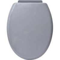 Wc-deckel pp 18 zoll kunststoffbefestigungen - grau - Tendance von TENDANCE