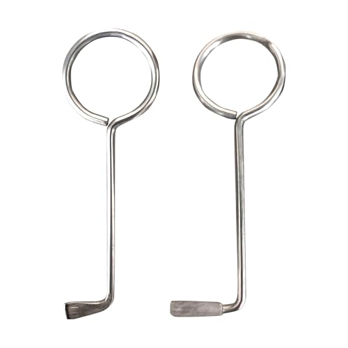 2 Stück Profi Dietrich Set,Bartschlüssel Universal Aus Edelstahl,Buntbartschlüssel Universal, Profi Dietrich Set,Geeignet zum Öffnen von Türschlössern,Türöffner Schlüssel für BuntBart Schloss. von TENGEE