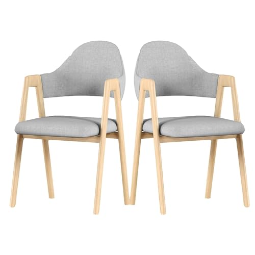 TENGJU Essensstühle 2er Set Wohnzimmerstuhl Esszimmerstühle Sessel Leicht Luxus Stuhl mit Gepolstert Freizeit Loungesessel von TENGJU