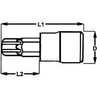 Torx15 Spitzenglas, 1/4 Tengtools M141215T-C Torx15 Spitzenglas, 1/4 Tengtools M141215T-C von TENGTOOLS