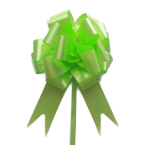 TENVORA Riesenschleife,Geschenkschleife Groß 10 stücke Hochzeit Pull Bogen bräuber Blume Auto Geschenke wrap Packing geburtstagsveranstaltungen Party liefert Valentines(Light Green) von TENVORA