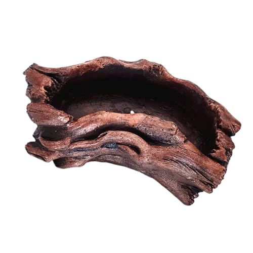 TENYELE Einzigartige Zementbaumwurzelstile Töpfe Zement Form Pflanzer Stallblüte Für Stilvolle Sukkulente Display Designs Pflanzer TENYELE Einzigartige Zementbaumwurzelstile Töpfe Zement Form Pflanzer Stallblüte Für Stilvolle Sukkulente Display Designs Pflanzer von TENYELE