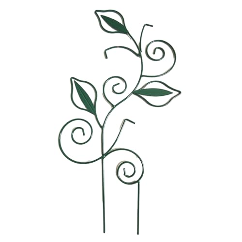 TENYELE Gartenschnallis Innenpflanzen Metallgartenhalter Unterstützung Innenräume Für Kletterpflanzenwachstumshilfe von TENYELE