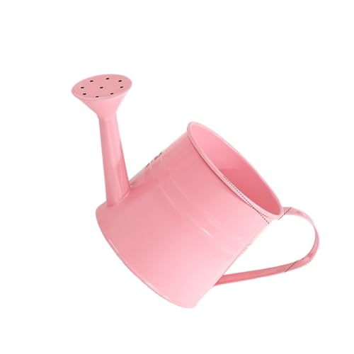 TENYELE Metallwässerung Dose Für Innenpflanzen Langes Ausguss In Innenräumen Für Hauspflanzenblumen Sukkulenten Ergonomische Griffgartenwässerung Dose von TENYELE