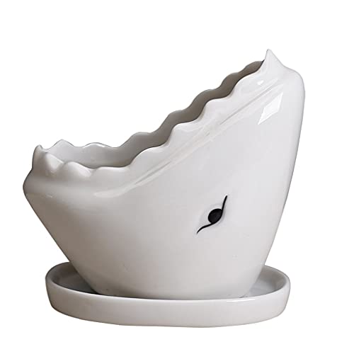 TENYELE Netter Sukkulenten Pflanzer Topf Mit Entwässerungsschale Keramik Kaktusblüten Behälter Bonsai Für Innenpflanzen Sukkulente Pflanzer TENYELE Netter Sukkulenten Pflanzer Topf Mit Entwässerungsschale Keramik Kaktusblüten Behälter Bonsai Für Innenpflanzen Sukkulente Pflanzer von TENYELE