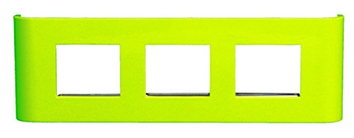 Tenzo 0674-026 Flower Deco-/ Fotoregal, Holz, Lime, 12 x 80 x 25 cm von TENZO