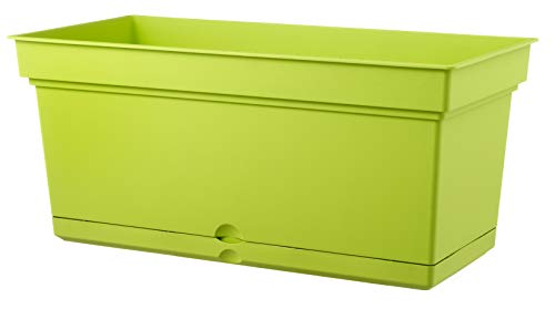 TERAPLAST 28109098404 Gartentöpferei, Zeder von TERAPLAST