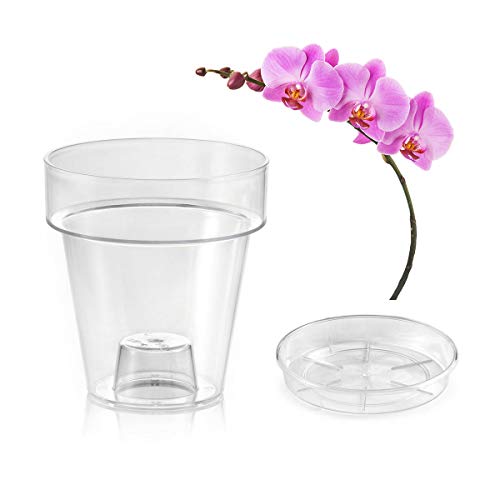 TERAPLAST Porto Transparente Vase mit Ständer für Orchideen, mit 4 Entwässerungslöchern, Vase, 14 cm Durchmesser, komplett mit Untersetzer von TERAPLAST