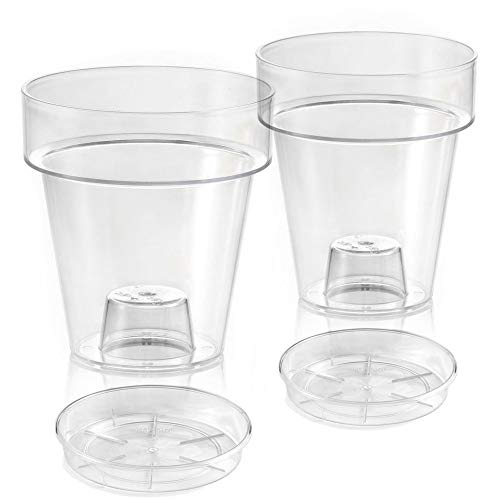 TERAPLAST 'Vase transparent Porto mit Unterstützung für Orchideen Durchmesser cm 14 komplett-Untersetzer (2) von TERAPLAST