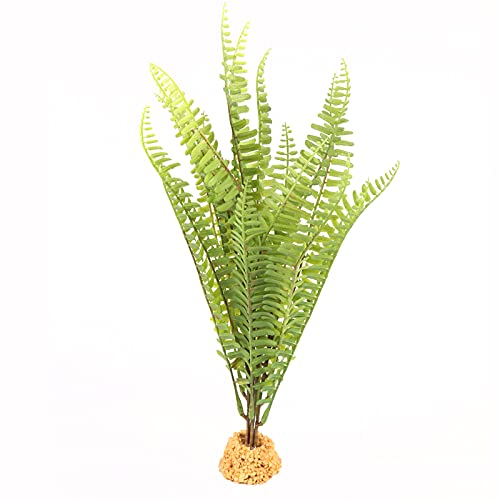 Terratlantis TD Terra Fern Plant von TERRATLANTIS