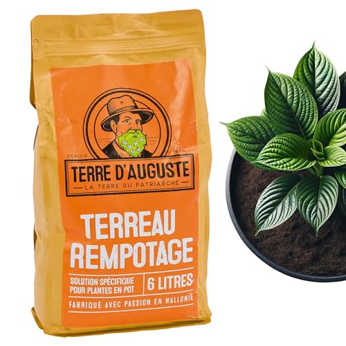 TERRE D'AUGUSTE - Blumenerde 6L mit wiederverschließbaren Reißverschluss - Spezifische Lösung für Topfpflanzen - pflanzenerde fur zimmerpflanzen & Palmen - zimmer grünpflanzendünger TERRE D'AUGUSTE - Blumenerde 6L mit wiederverschließbaren Reißverschluss - Spezifische Lösung für Topfpflanzen - pflanzenerde fur zimmerpflanzen & Palmen - zimmer grünpflanzendünger von TERRE D'AUGUSTE LA TERRE DU PATRIARCHE DEPUIS 1920