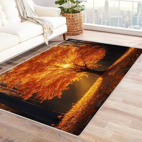 TERUEA 3D Teppich, Sonnenlicht scheint durch die Bäume Teppiche rutschfest 3D Täuschungen Bodenmatte für Esszimmer Zuhause Schlafzimmer Zimmer Dekor(Golden)-90x120cm von TERUEA
