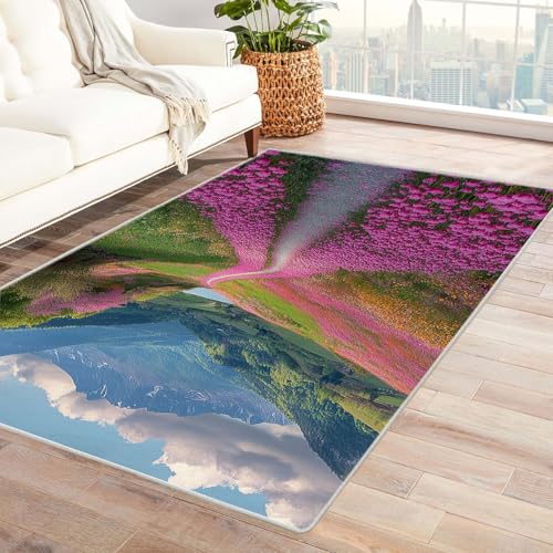 TERUEA 3D Tier Muster Cartoon Teppiche Eine gewundene Straße führt in die Ferne. 3D Optische Täuschung Teppiche Fußmatte Flanell, Stereo Vision rutschfeste Visuelle Dekoration,(Rosa)-150x180cm von TERUEA
