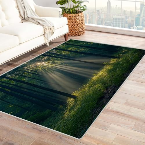 TERUEA Badematte (3D-Muster) Grüne Waldsonne Teppiche rutschfest 3D Täuschungen Bodenmatte für Esszimmer Zuhause Schlafzimmer Zimmer Dekor(Grün)-180x240cm von TERUEA