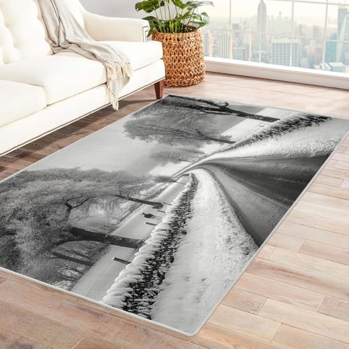 TERUEA Teppich Wohnzimmer 3D Tier Verschneite Landschaft auf Landstraßen Junge Geschenk MäDchen Teenager Schlafzimmer Thema Deko Rug Zimmer Wohnzimmer Carpet Farbe Anti-Rutsch(Schwarz-Weiß)-180x270cm von TERUEA