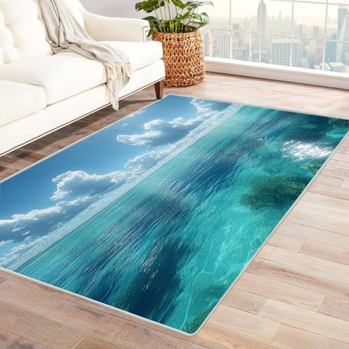 TERUEA Teppich Wohnzimmer 3D Tier Wunderschöne Meereslandschaft mit Inseln und weißen Wolken Teppich Wohnzimmer 3D Große Fläche Teppiche Kinder, Anti-Rutsch-Bodenmatte.(Hellblau)-180x270cm von TERUEA