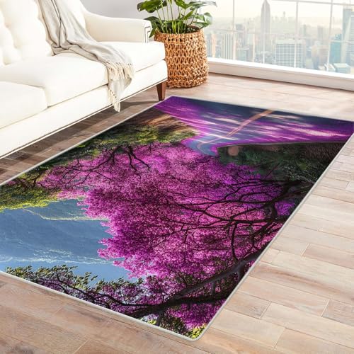 TERUEA Teppich rutschfest Küchenläufer Waschbar 3D Druckmuster Eine kurvenreiche Straße schlängelt Sich durch, Fußmatte Rutschfester Türvorleger mit 3D-Landschaftsdruck,(Mittelfuchsia)-60x90cm von TERUEA