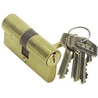 Tesa 5030 Zylinder/40x60 vermessingter langer Nocken Tesa 5030 Zylinder/40x60 vermessingter langer Nocken von TESA ASSA ABLOY