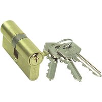 Tesa Assa Abloy - 52003030L, Standardzylinder, TE5, kurzer Nocken, Schlüssel - Schlüssel, Messing, 30 x 30 mm von TESA ASSA ABLOY