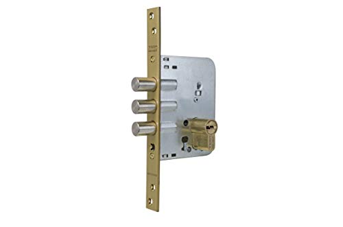 tesa R101B Türschloss E60 T60 30 x 30 stahl gold von Tesa Assa Abloy