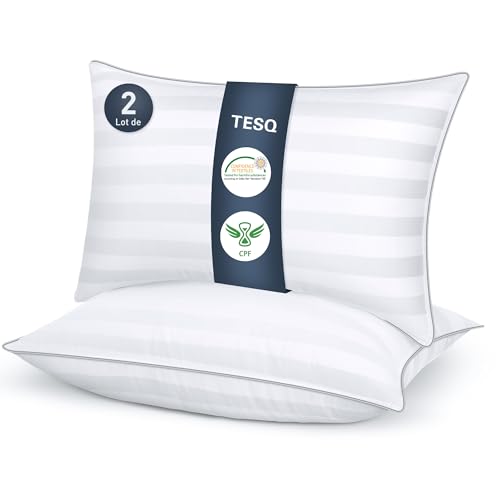 TESQ Kopfkissen, 50 x 70 cm, 2 Stück, weich, Hotelqualität, atmungsaktiv und hypoallergen, ideal für Seitenschläfer, Rücken- und Bauchschläfer, waschbar TESQ Kopfkissen, 50 x 70 cm, 2 Stück, weich, Hotelqualität, atmungsaktiv und hypoallergen, ideal für Seitenschläfer, Rücken- und Bauchschläfer, waschbar von TESQ