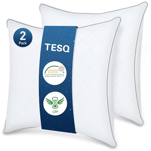 TESQ Kopfkissen, 65 x 65 cm, 2 Stück, Hotelqualität, Luxus-Kopfkissen, bequem, weich, atmungsaktiv und hypoallergen, Öko-TEX-Zertifiziert, für alle Schlafpositionen geeignet von TESQ
