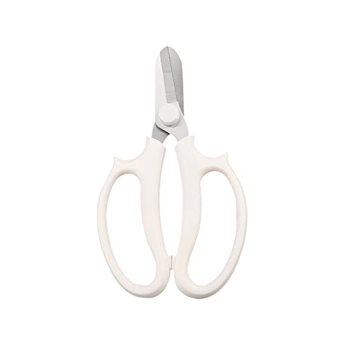 Oxalsäure verdampfer, 1 Stcs Gartenschere, die Schere Blumenschere professionelle Blumenschere mit komfortablen Griffgriffscherwerkzeugen beschneiden(Battery mirror 1) von TETEOM