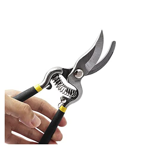 Oxalsäure verdampfer, 8/10 Zoll hohe Kohlenstoffstahl -Schnittschere Cutter Home Gartenanlage Schere Branchen -Schnitt -Schnitthandwerkzeuge(10 Inch) von TETEOM